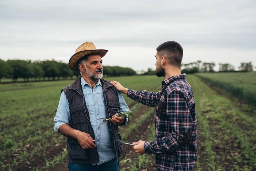 Ranchers,Talking,Outdoor,In,Corn,Field